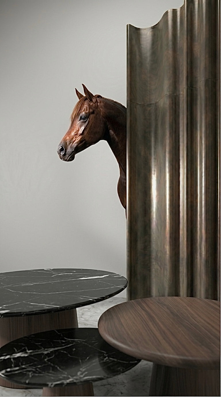 SHAQAB Collection